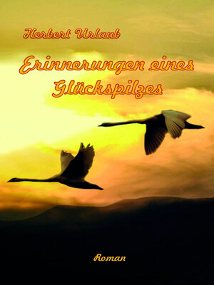 cover image of Erinnerungen eines Glückspilzes